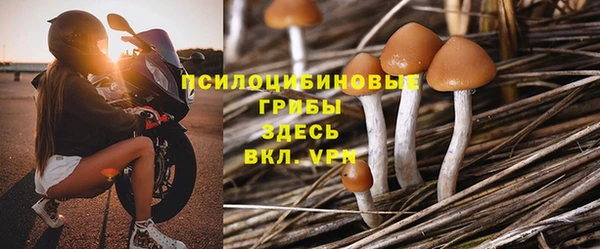 спайс Гусев