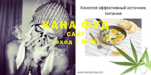 спайс Гусев