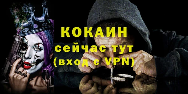 спайс Гусев