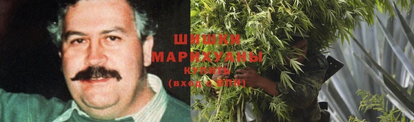 дживик Горнозаводск
