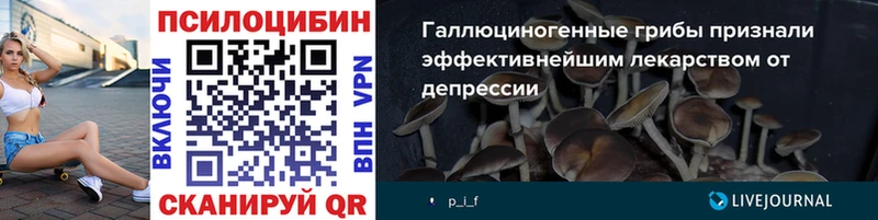 как найти наркотики  Стерлитамак  Галлюциногенные грибы прущие грибы 
